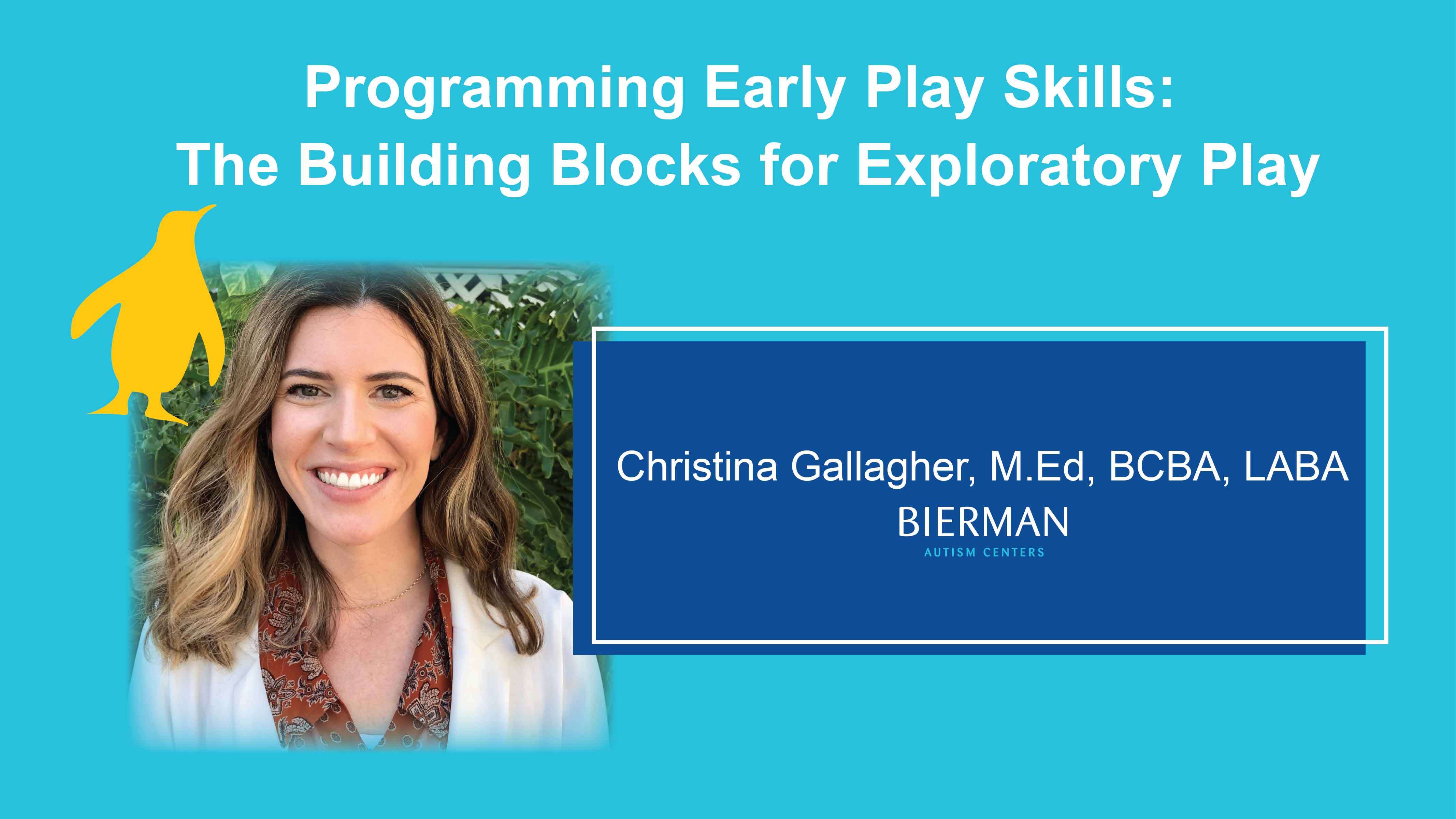 Programming Early Play Skills: The Building Blocks for Exploratory Play
